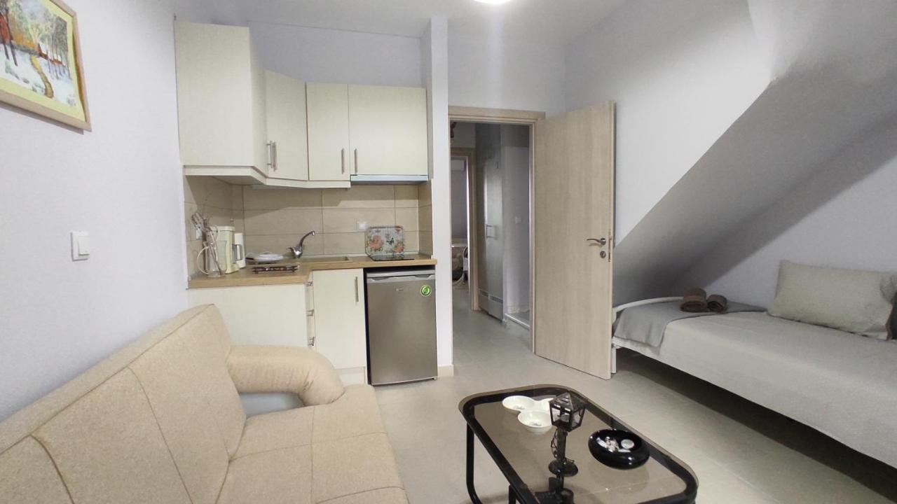 Asterias Maisonette & Apartments Kariani Bagian luar foto